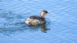 Mooi in de herfstzon