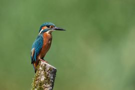 De beloning voor 2 uur wachten
