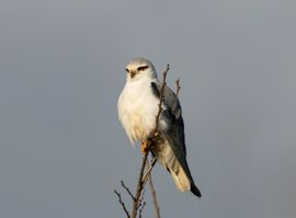 Alles goed overzien...