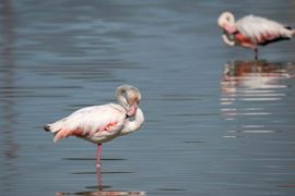 Spiegelbeeld, vertel eens even ...