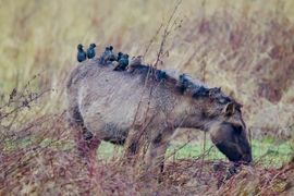 Warme poten in de winter