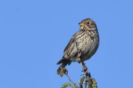 Genieten van het zonnetje