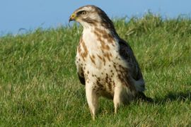 In z'n winterkleed op de Zeedijk