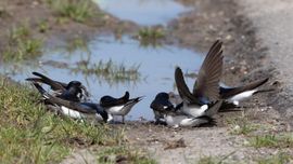 Lang gewacht op regen voor hun woningbouw