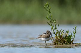 Poetsen moet ook gebeuren