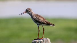 Lekker genieten hoor bij het natuurgebied de inlaag