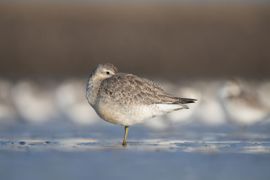 Tijdens de hard wind een beetje uitrusten 