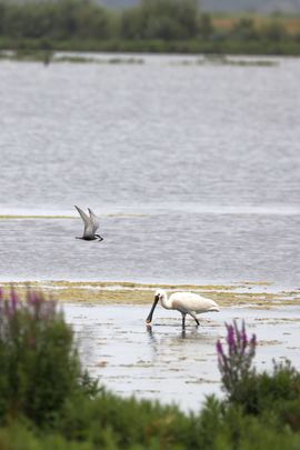 Bijzondere interactie