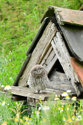 Zit ik zo goed voor de foto……?