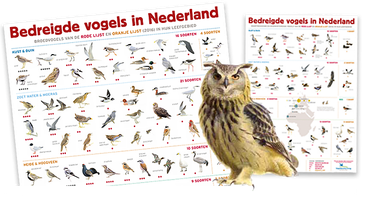 Posters bedreigde vogels