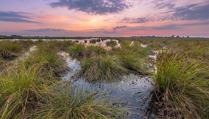 Onlanden / Rudmer Zwerver, Shutterstock