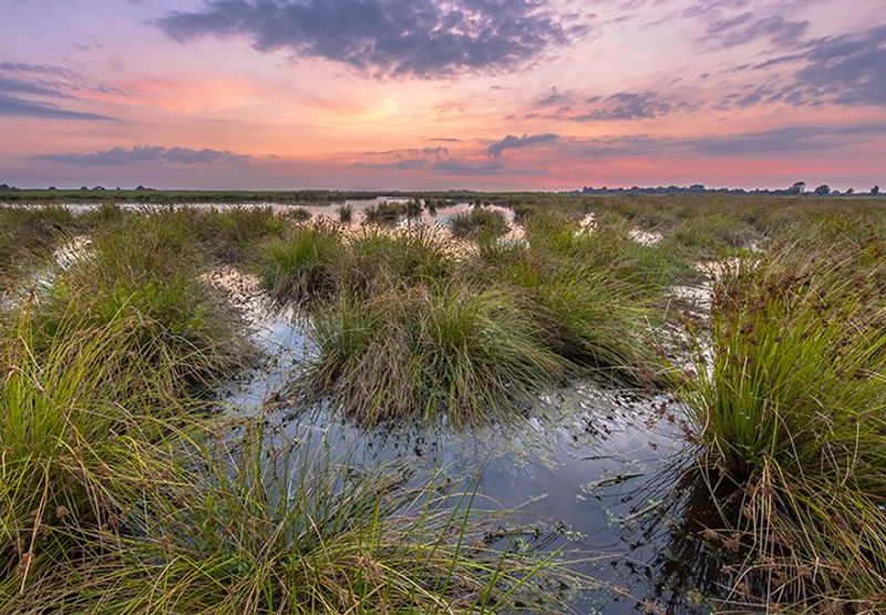 Onlanden / Rudmer Zwerver, Shutterstock