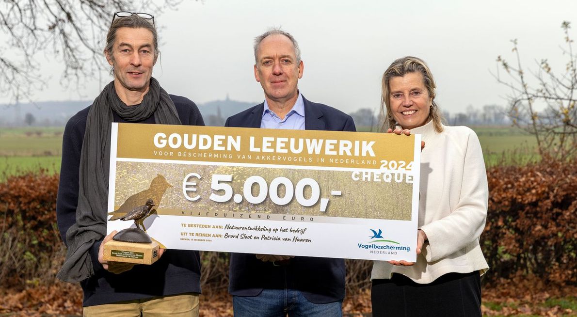 Gouden Leeuwerik 2024/ Fred van Diem