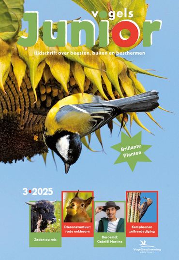 Cover Vogels Junior 3/2025