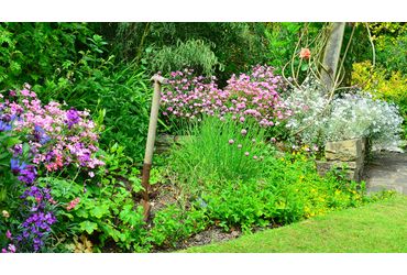 Border in tuin / Shutterstock