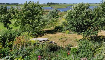 Natuur tuin / Ingeborg Lewis