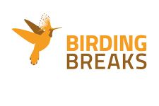 Logo Birding Breaks