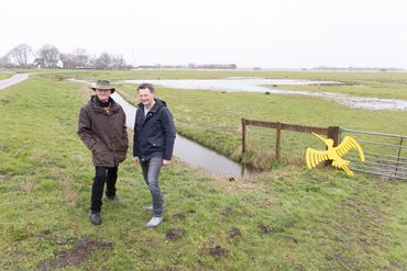 Vogelbescherming bundelt krachten met kaasmaker De Fryske. Foto: Hugo Weenen. 