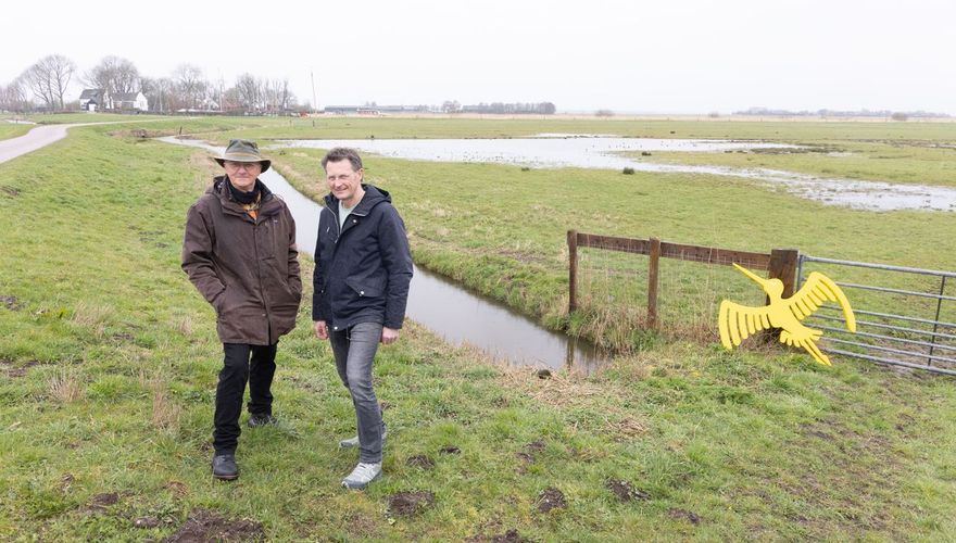 Vogelbescherming bundelt krachten met kaasmaker De Fryske. Foto: Hugo Weenen. 