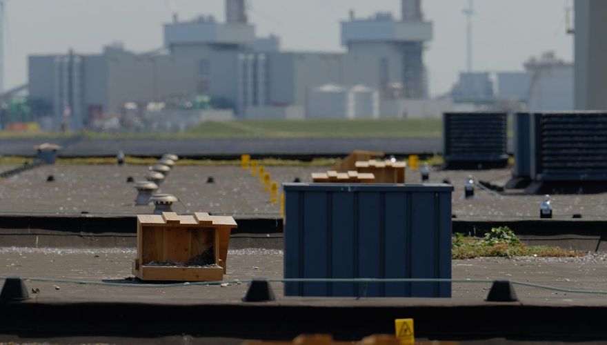 Meeuwenhubs in de haven / Bob van Bruggen, IJsbreker TV