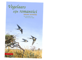 Cover boek Vogels zijn romantici