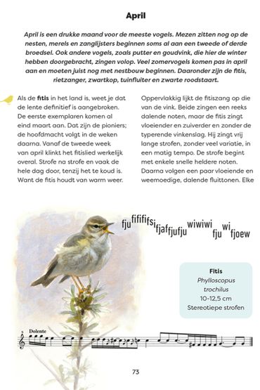 Zangsleutel fitis