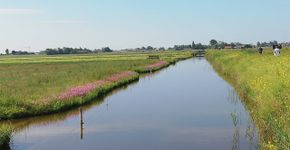 Rijke Weidevogelboulevard Amstelland / Celine Roodhart