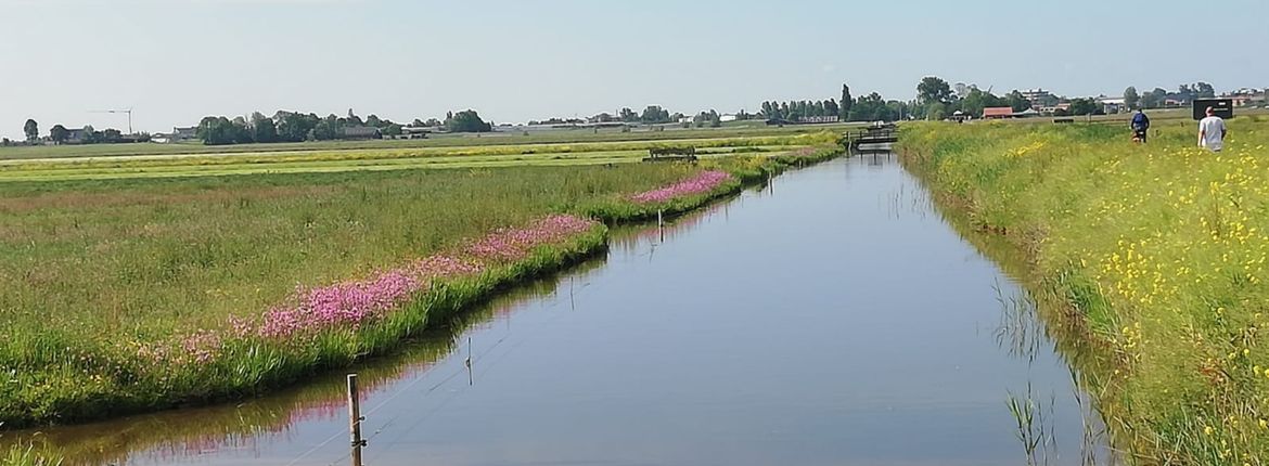 Rijke Weidevogelboulevard Amstelland / Celine Roodhart