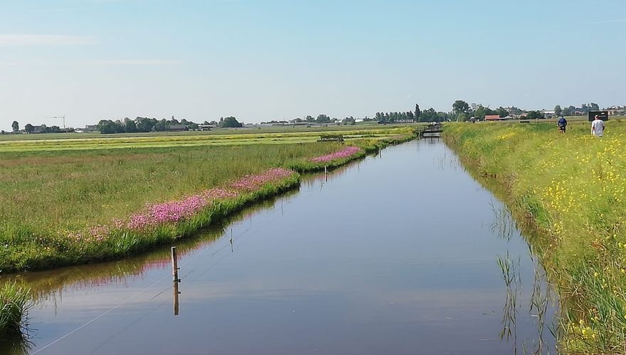 Rijke Weidevogelboulevard Amstelland / Celine Roodhart