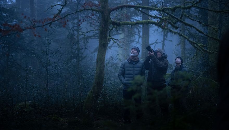 Videostill Whispers in the Woods / Vincent Munier