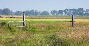 Landschap Sjoerd Miedema / Fred van Diem