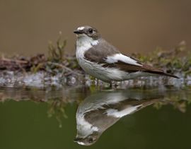 Even een bad nemen....