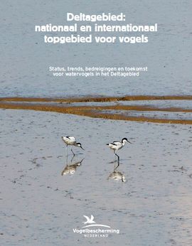 Cover rapport Deltagebied