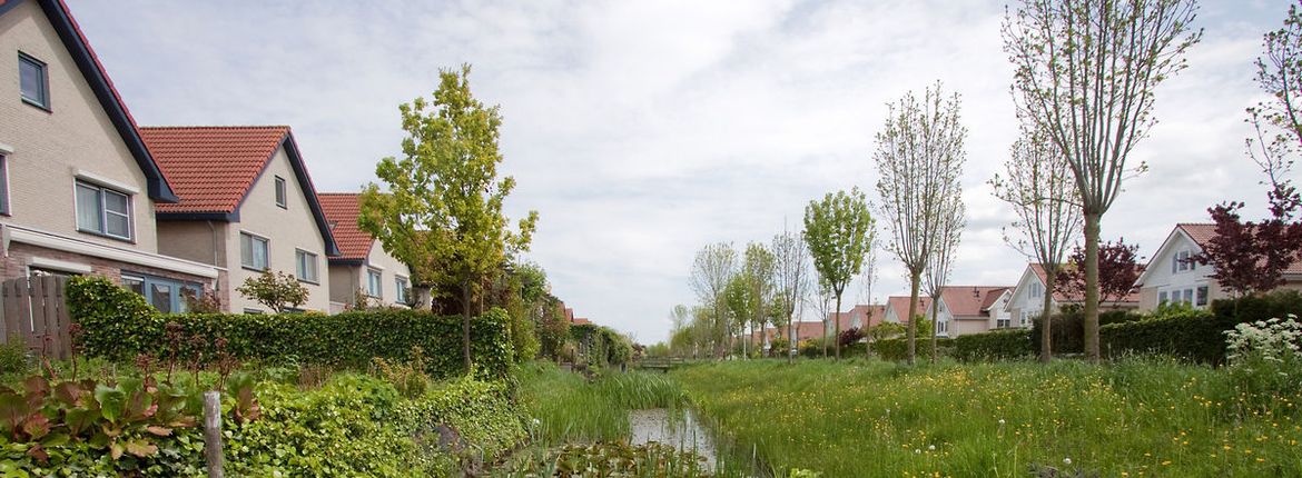 Stadsnatuur / Jouke Altenburg