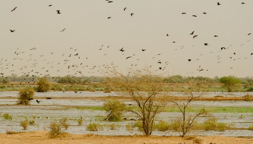 Sahel Senegal - Lars Soerink