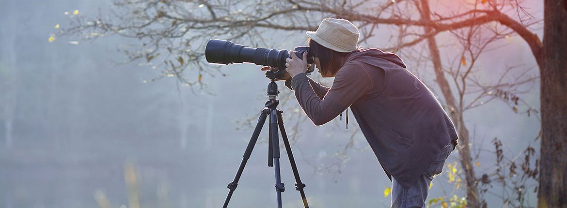 Vogels kijken / Shutterstock