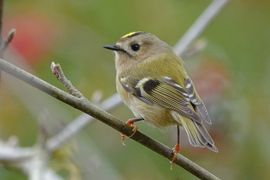 Eindelijk zat ie stil