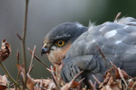 onfortuinlijke landing