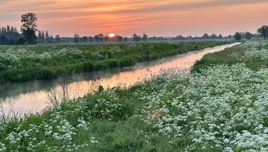 Bethunepolder / Jack Folkers