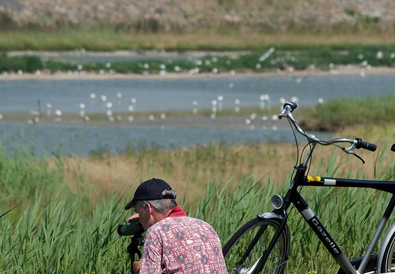 Vogels kijken / Hans Peeters