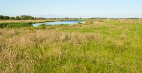 Ilperveld / Marc Guyt, AGAMI