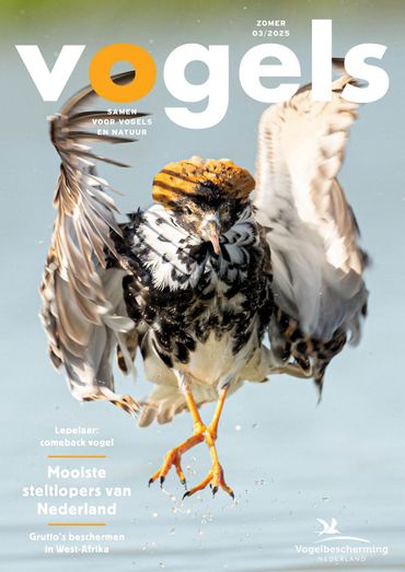 Cover Vogels 3, 2025