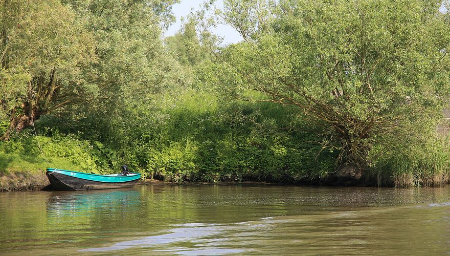 Biesbosch / Shutterstock