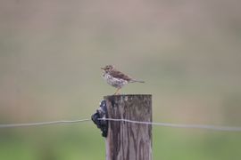 Laat me lekker even nadenken zeg!