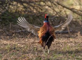 Even lekker uitrekken