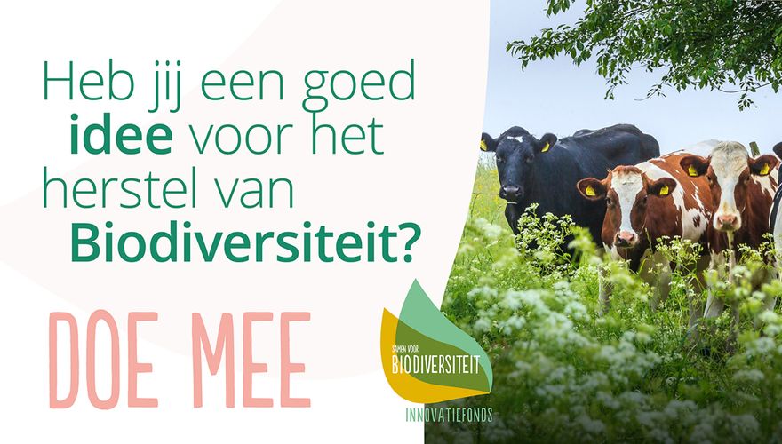 Samen voor biodiversiteit innovatiefonds