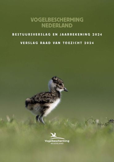 Jaarverslag 2024