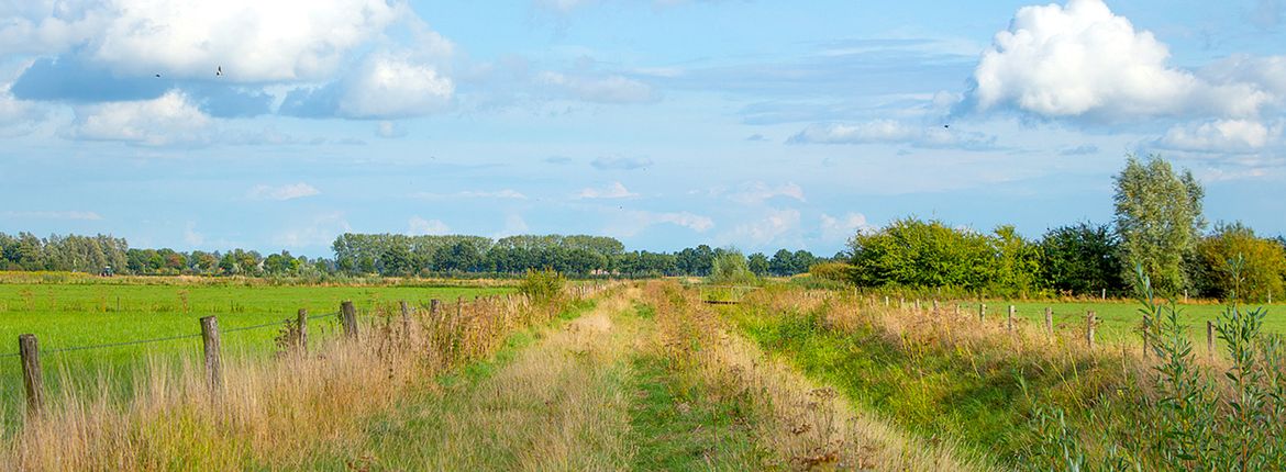 Ooijpolder / Shutterstock