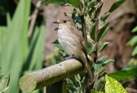 Hij is er klaar voor