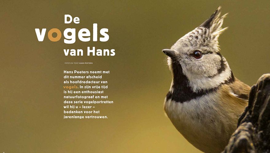 Vogels van Hans